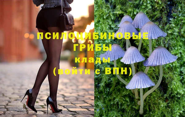 мдпв Нефтекумск
