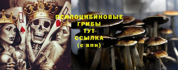 мдпв Нефтекумск