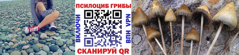 Галлюциногенные грибы ЛСД  сколько стоит  Тула 