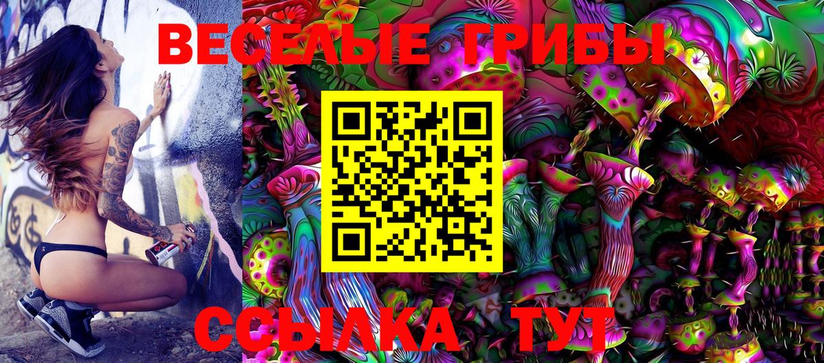 Тула  Псилоцибиновые грибы Psilocybe  Вход с VPN 