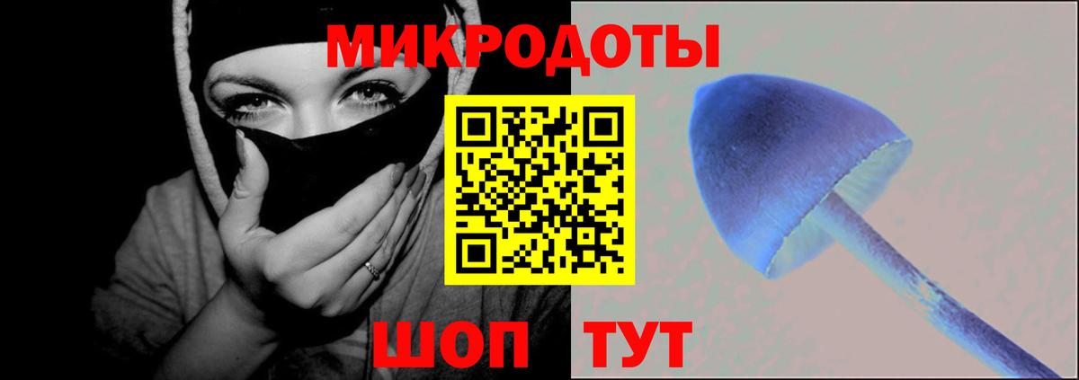 Галлюциногенные грибы Psilocybe Тула